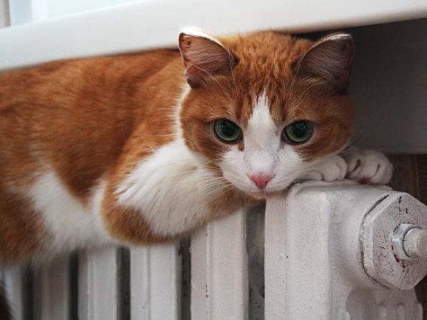 ����: 0642.ua