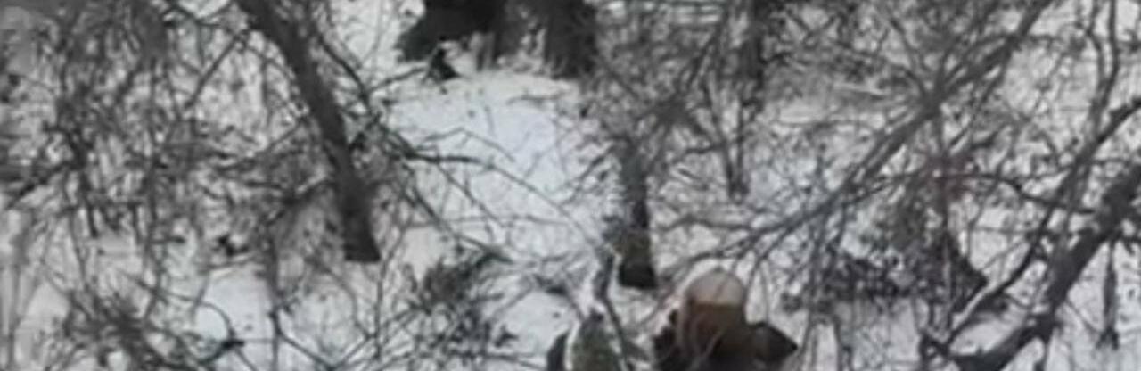 ����: 0642.ua