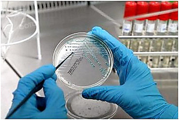  �������������� �������� ���� ��-��� ����� ���������� �������� ������� 