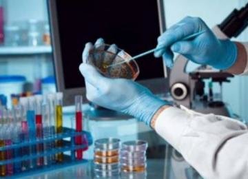  ��������� ������ �������� ��������� �������������� ���� ������� 