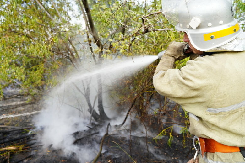  ��������� ������� ����� ������ ���� ����� ����� 