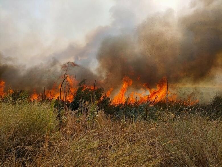  ��������� ������� ������������ ����� ������������ ������ ���� ���������� 