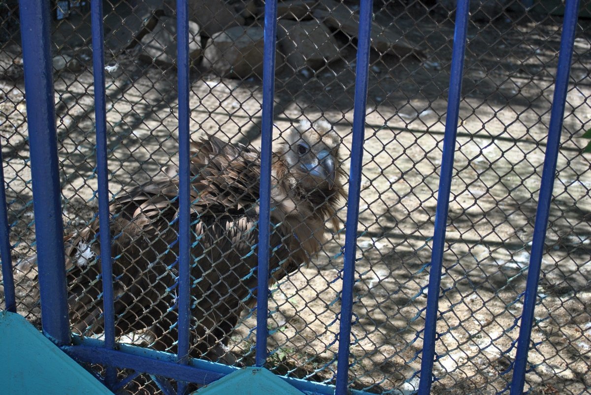  �������������� �������� ���� ����� ������ ����� ���� 