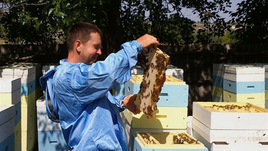 Пчеловод из Луганщины будет экспортировать мед в Японию