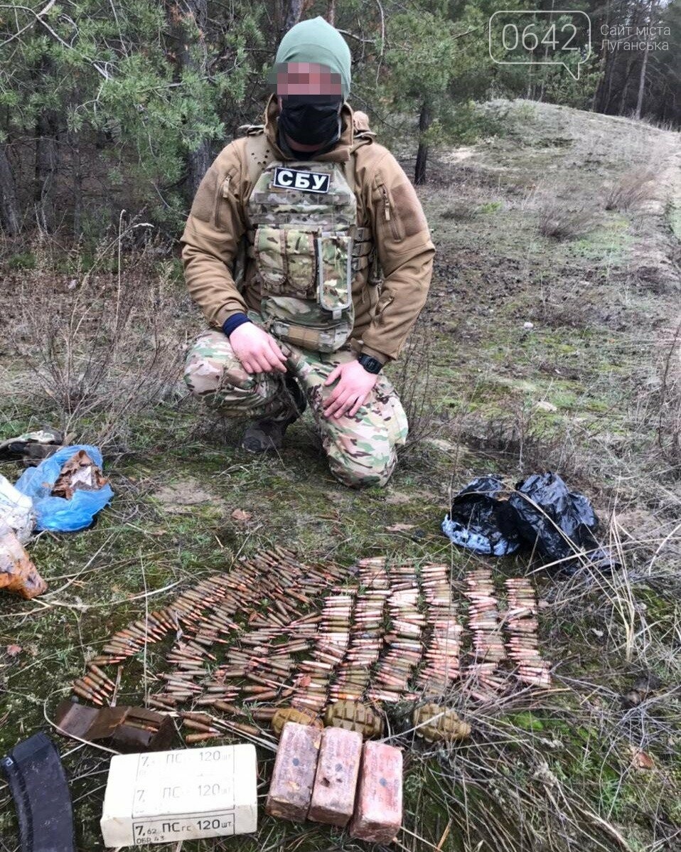 В Луганской области нашли два тайника со взрывчаткой и гранатами, - ФОТО, фото-3