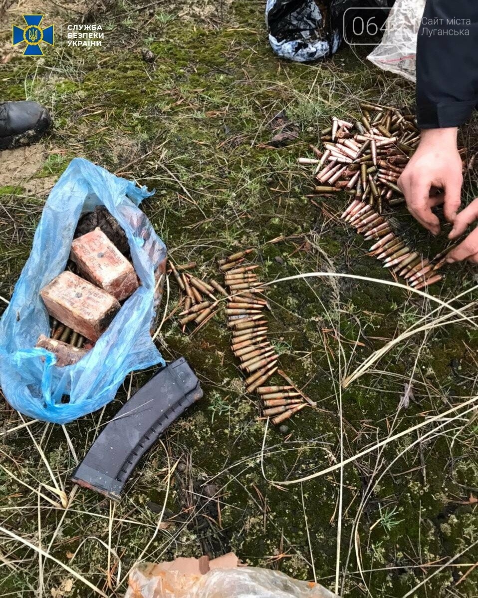 В Луганской области нашли два тайника со взрывчаткой и гранатами, - ФОТО, фото-4
