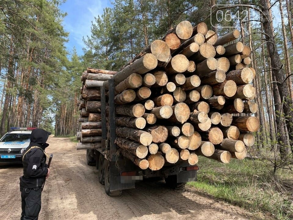 В Луганской области перевозили древесину без документов, - ФОТО, фото-1
