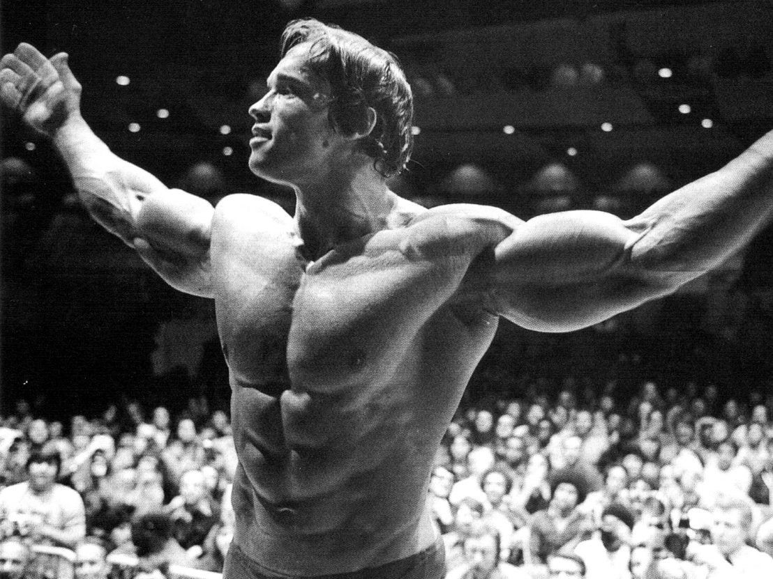 Полная Инструкция: Болденон Ундесиленат (Boldenone Undecyle..., фото-1 Полная Инструкция: Болденон Ундесиленат (Boldenone Undecylenate), фото-1