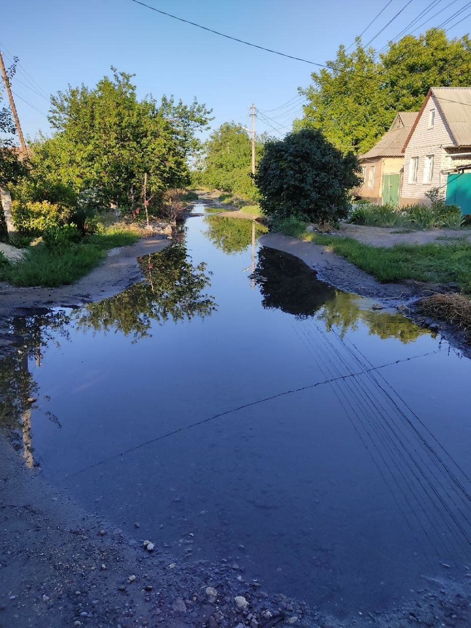 Фото леса в луганске