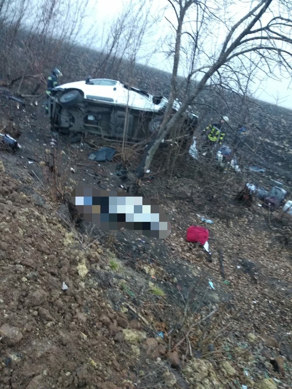 В Луганской области микроавтобус вылетел с трассы - один пассажир погиб, семь пострадавших, - ФОТО